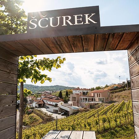 Posestvo Scurek Wine Bed & Breakfast Dobrovo Luaran gambar