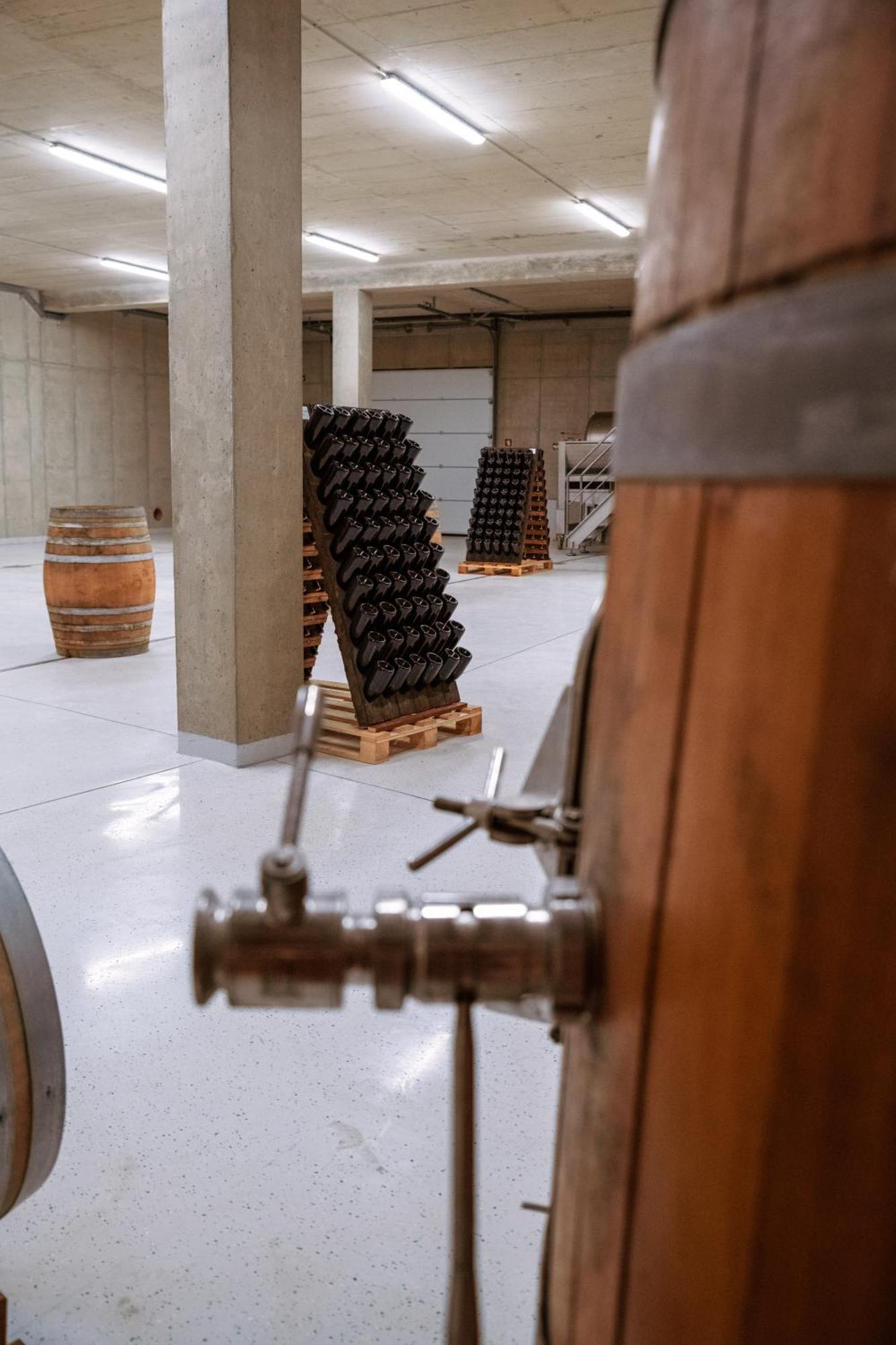 Posestvo Scurek Wine Bed & Breakfast Dobrovo Luaran gambar
