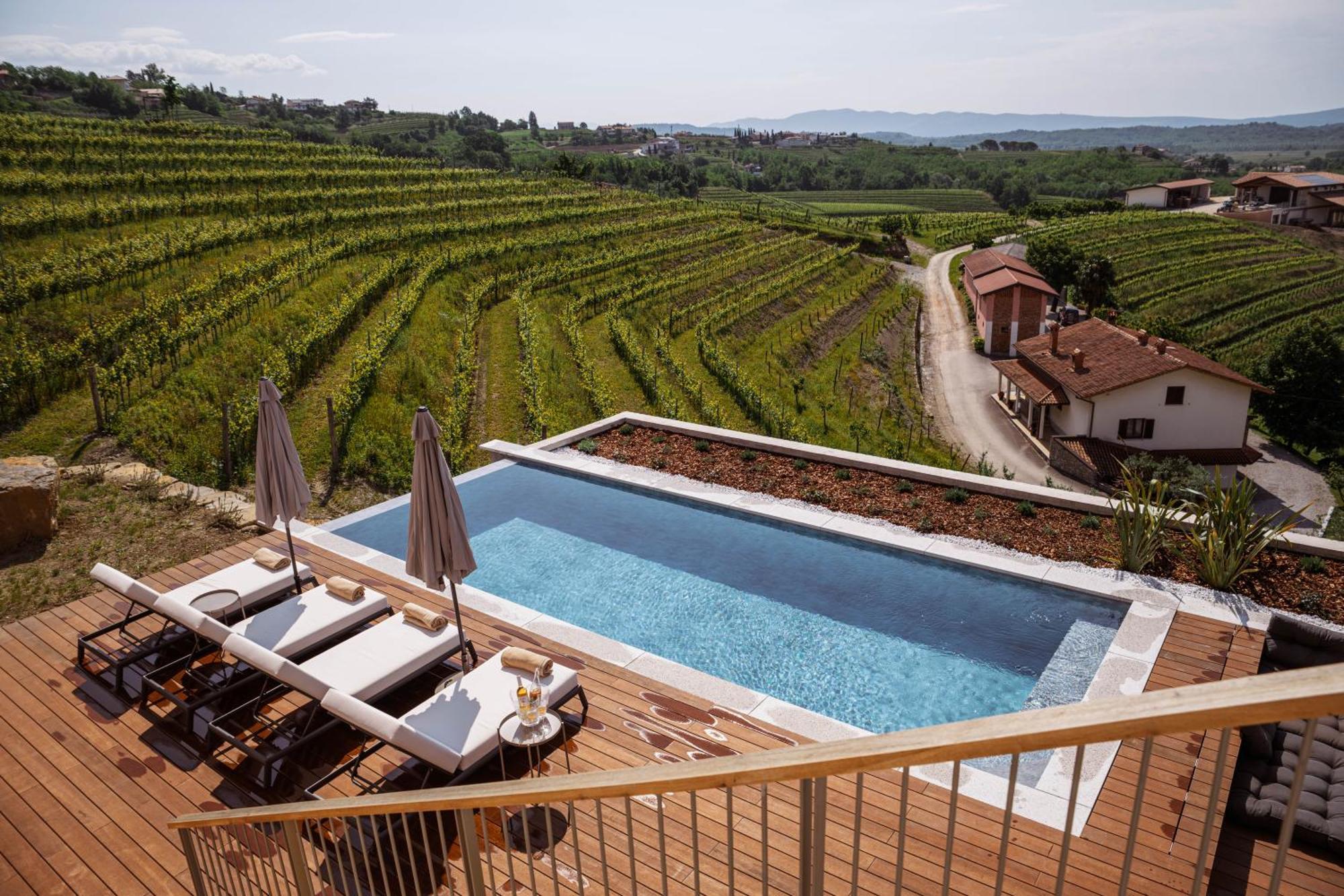 Posestvo Scurek Wine Bed & Breakfast Dobrovo Luaran gambar