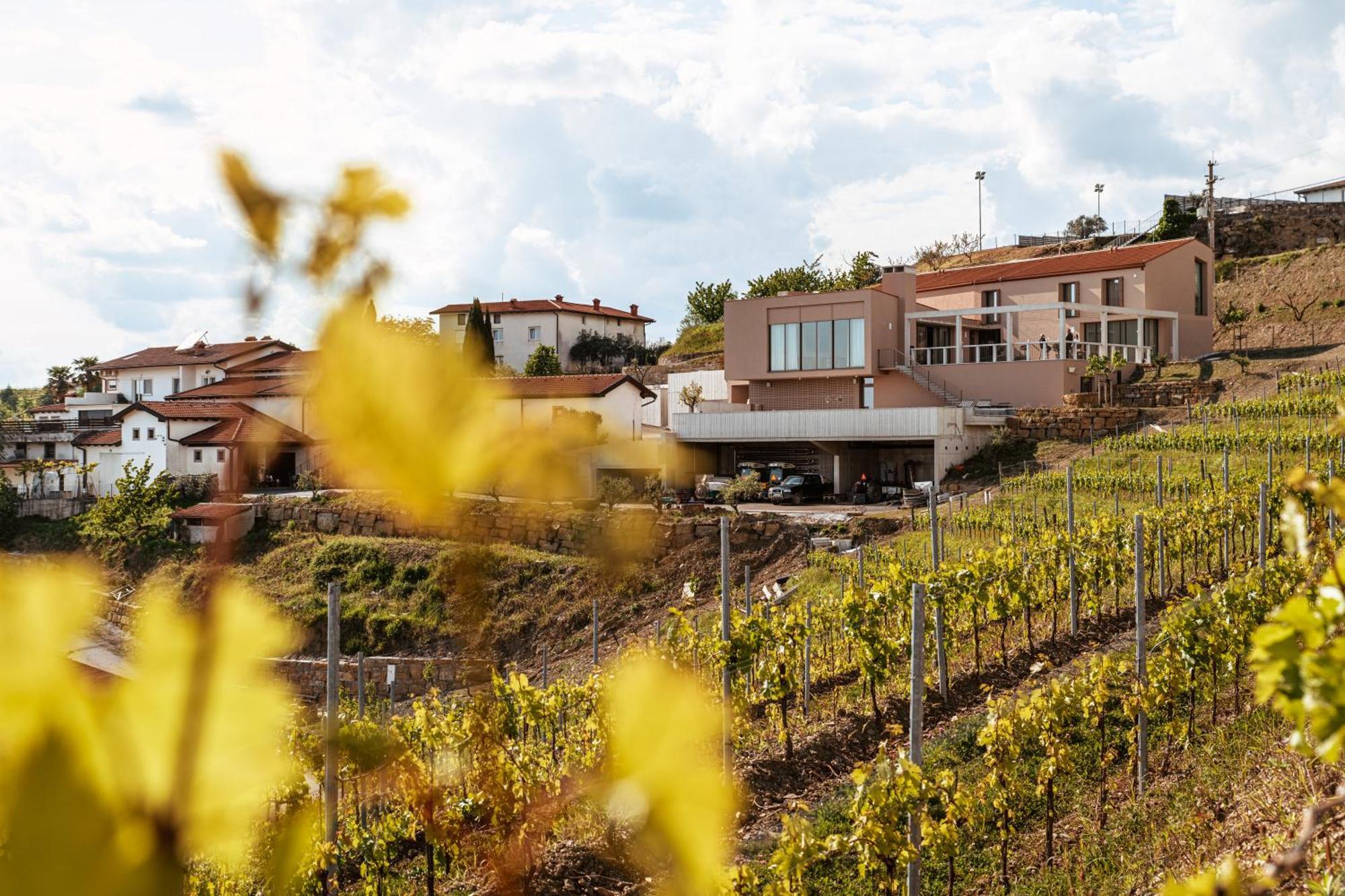 Posestvo Scurek Wine Bed & Breakfast Dobrovo Luaran gambar