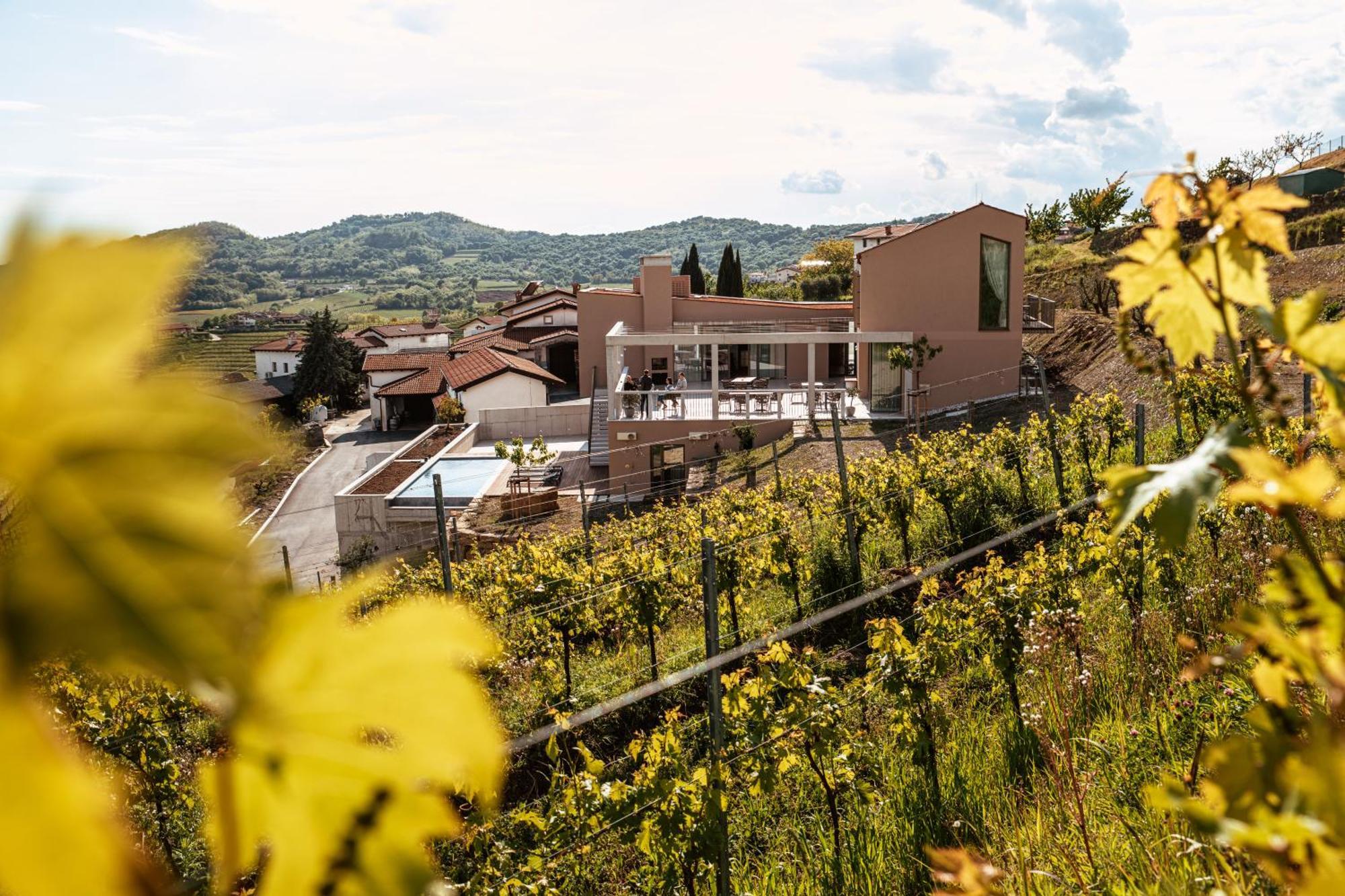 Posestvo Scurek Wine Bed & Breakfast Dobrovo Luaran gambar