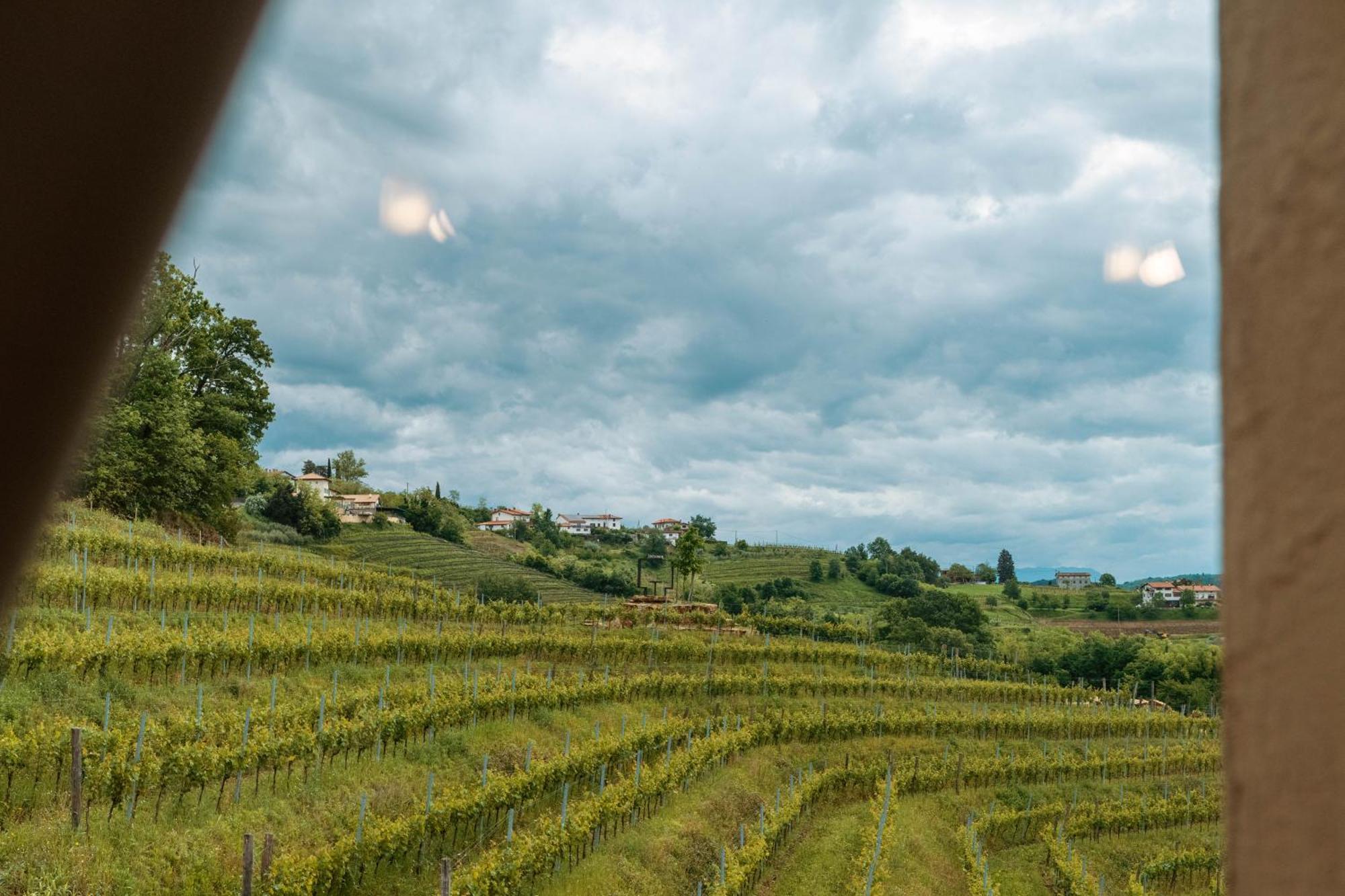 Posestvo Scurek Wine Bed & Breakfast Dobrovo Luaran gambar