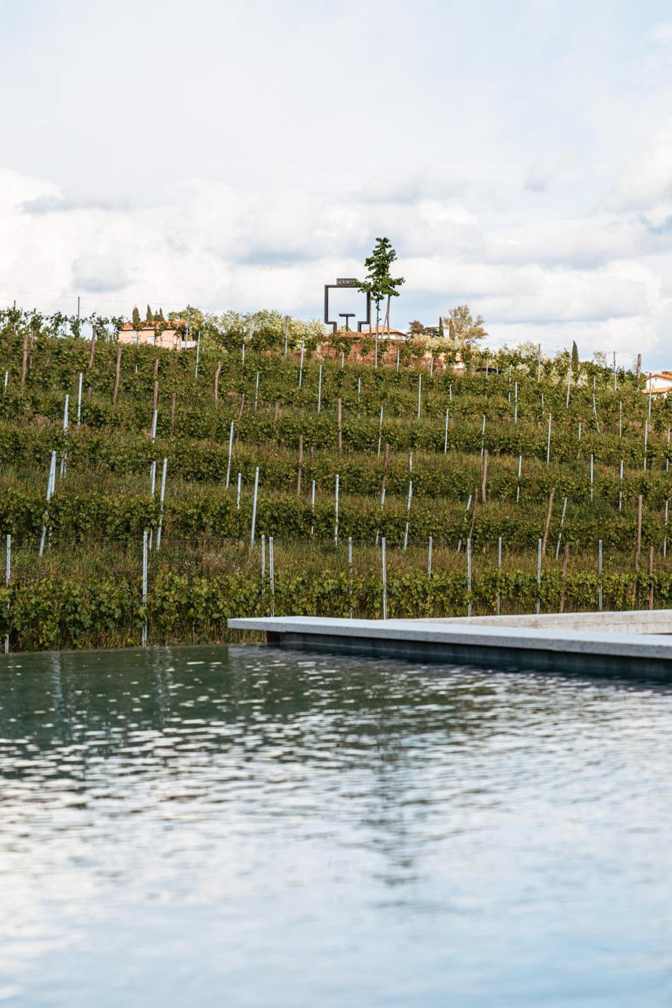 Posestvo Scurek Wine Bed & Breakfast Dobrovo Luaran gambar